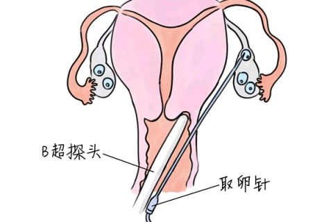 http://wuhan.huochezhan.net/post/205.html|武汉供卵助孕
