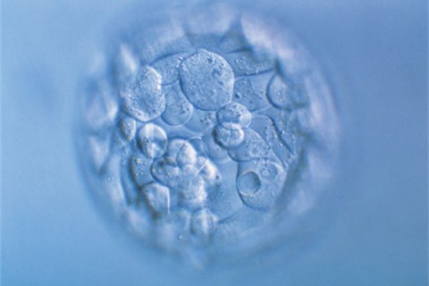 http://wuhan.huochezhan.net/post/200.html|武汉新闻中心
